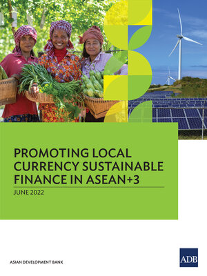 cover image of Promoting Local Currency Sustainable Finance in ASEAN+3